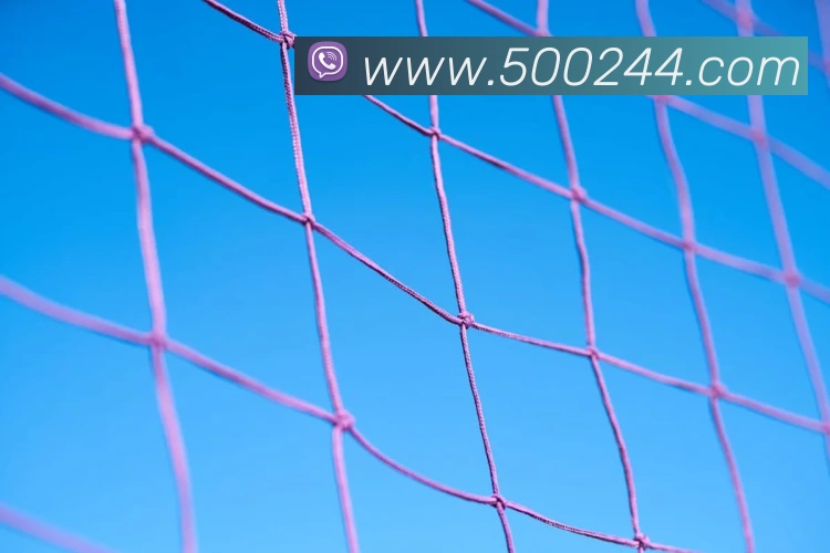 500彩票网官方APP 体育赛事宣传图
